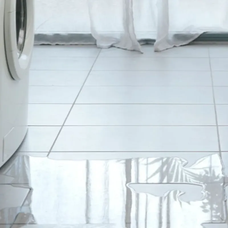 Appliance Leak Cleanup in Fond du Lac, WI