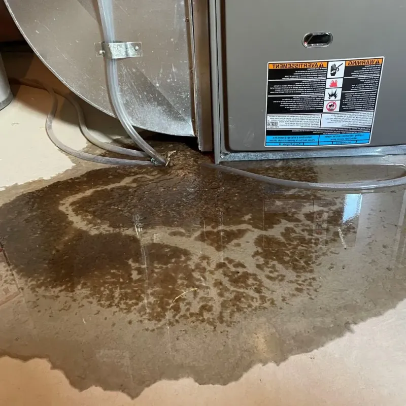 Pipe Burst and Leak Restoration in Fond du Lac, WI