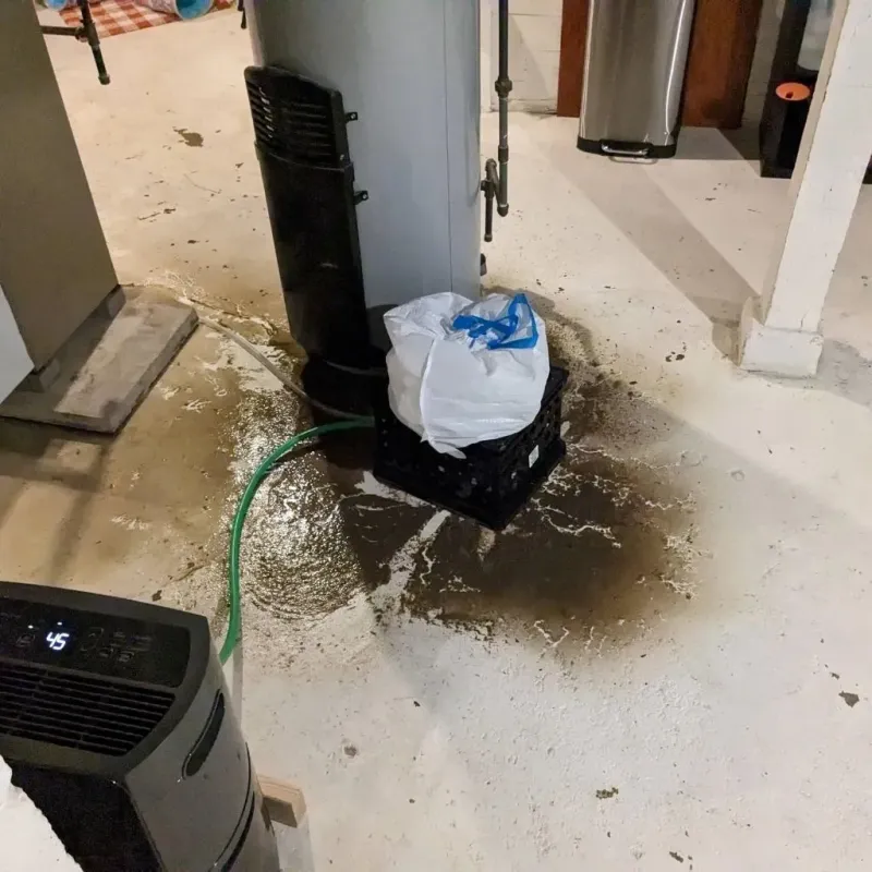 Sewage Backup Cleanup Service in Fond du Lac, WI